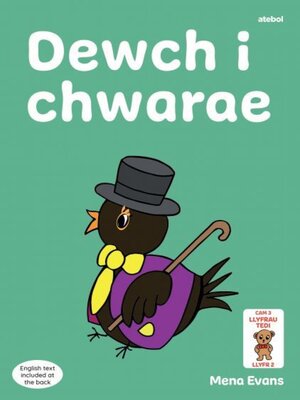 cover image of Llyfrau Hwyl Magi Ann